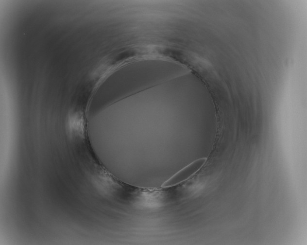 X0000112910720200908241206