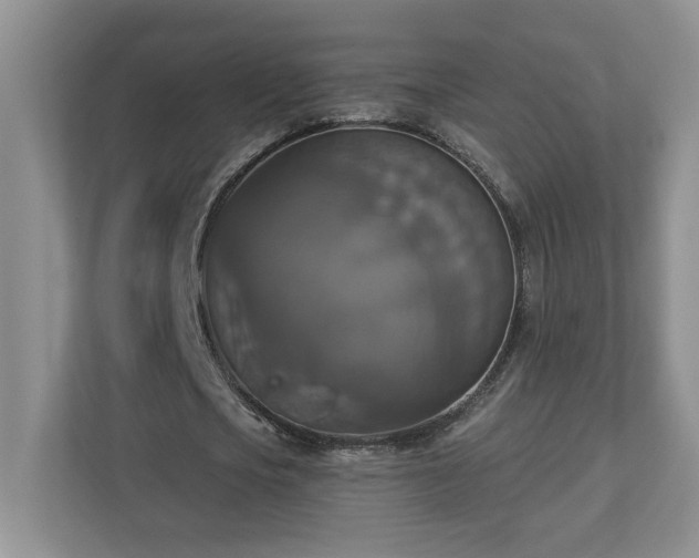 X0000112910721200908241205