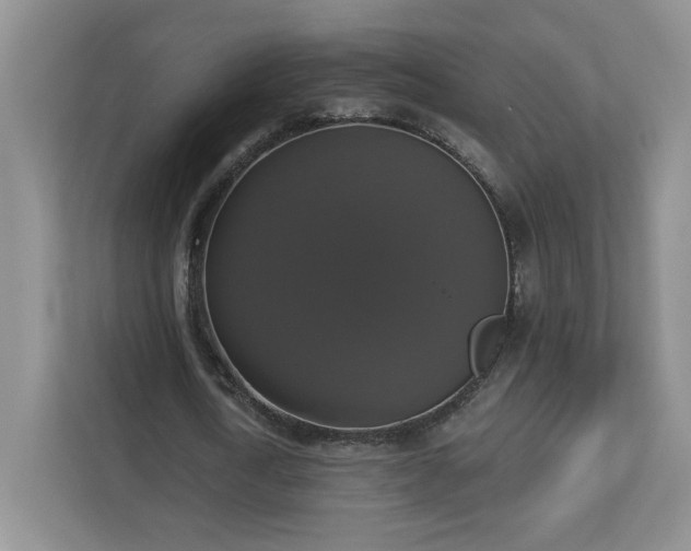 X0000112910722200908241205