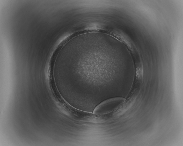 X0000112910724200908241205