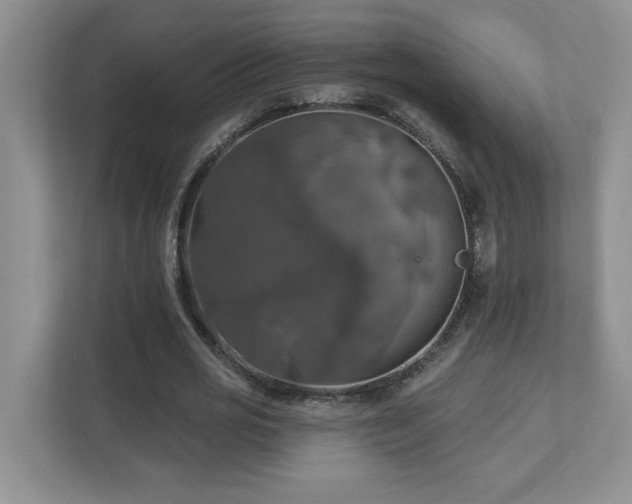 X0000112910725200908241205