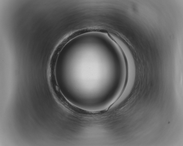 X0000112910726200908241205