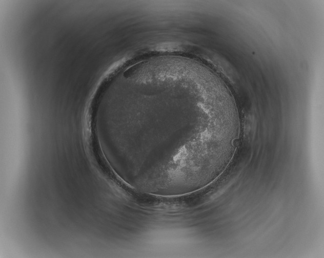 X0000112910727200908241205