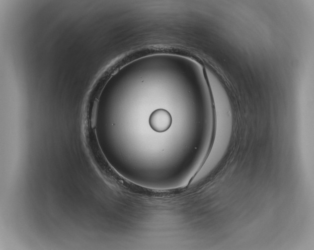 X0000112910728200908241205