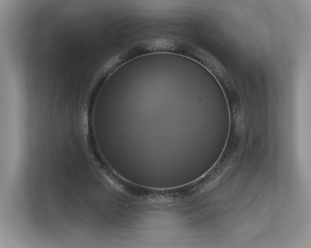 X0000112910729200908241205