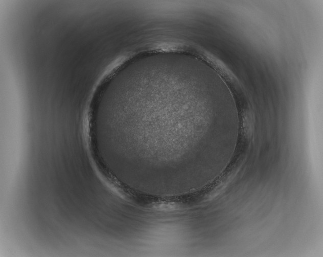 X0000112910730200908241205