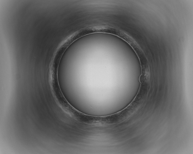 X0000112910732200908241205