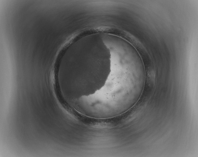 X0000112910734200908241205