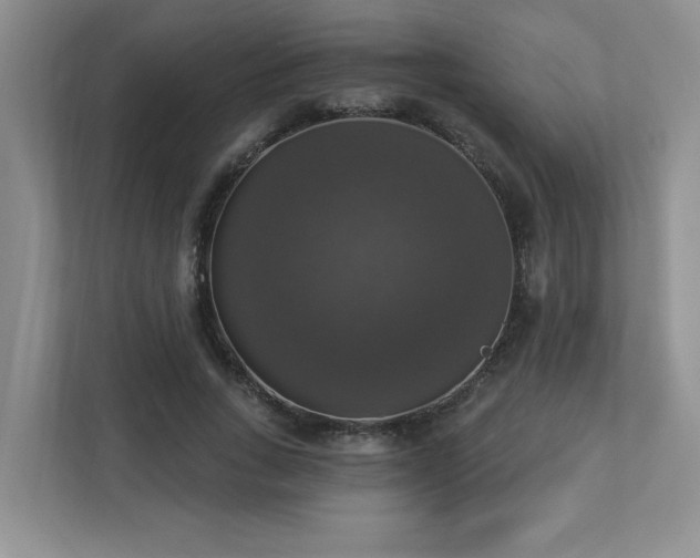 X0000112910735200908241205