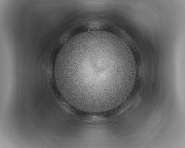 X0000112910737200908241205