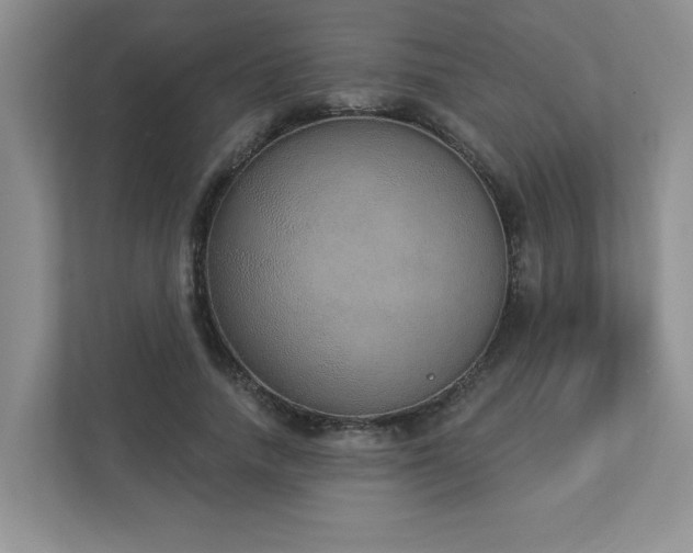 X0000112910738200908241205