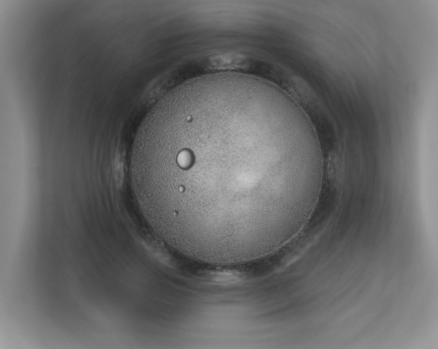 X0000112910741200908241205