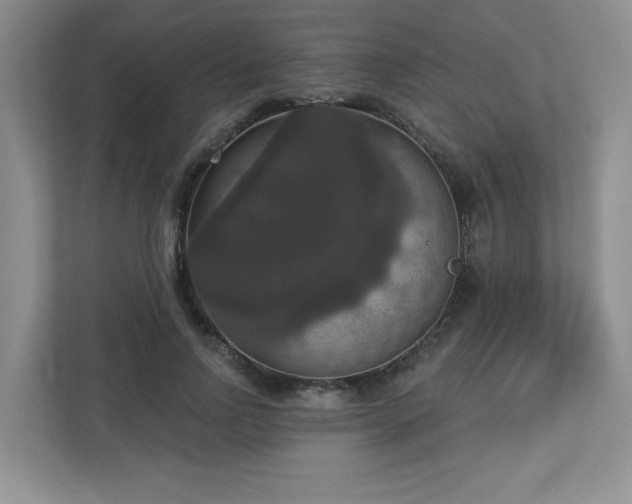 X0000112910742200908241205