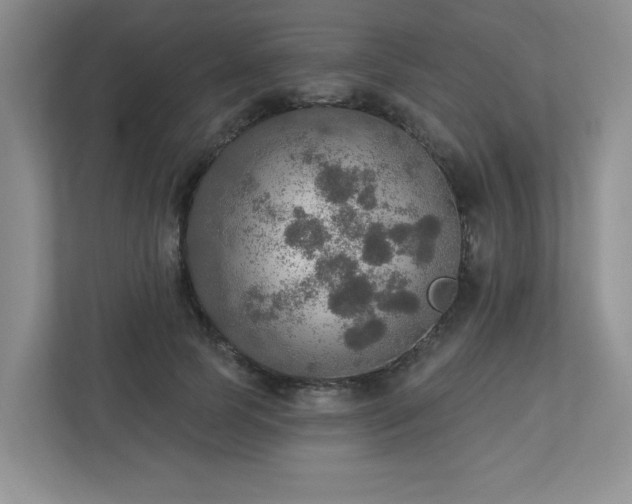 X0000112910745200908241206