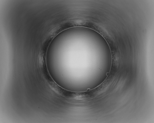 X0000112910746200908241206