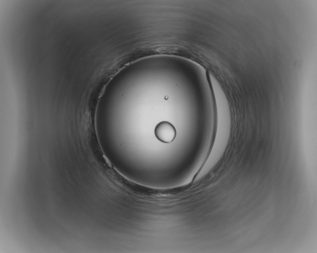 X0000112910748200908241206