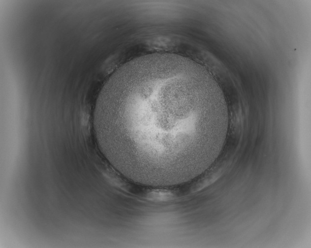 X0000112910749200908241206