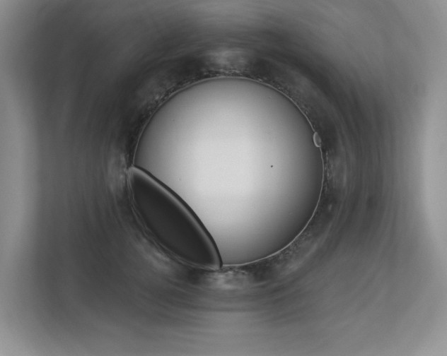 X0000112910752200908241206