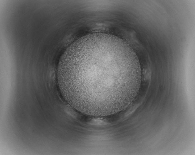 X0000112910753200908241206