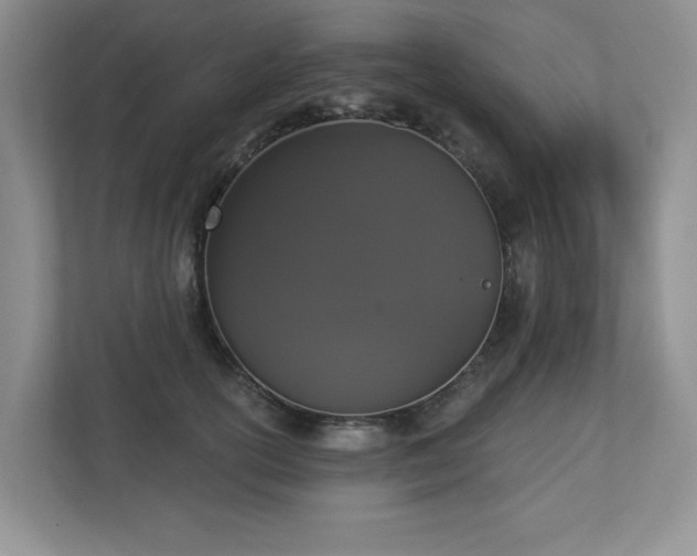 X0000112910754200908241206