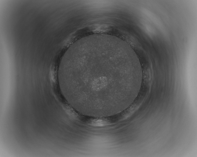 X0000112910755200908241206