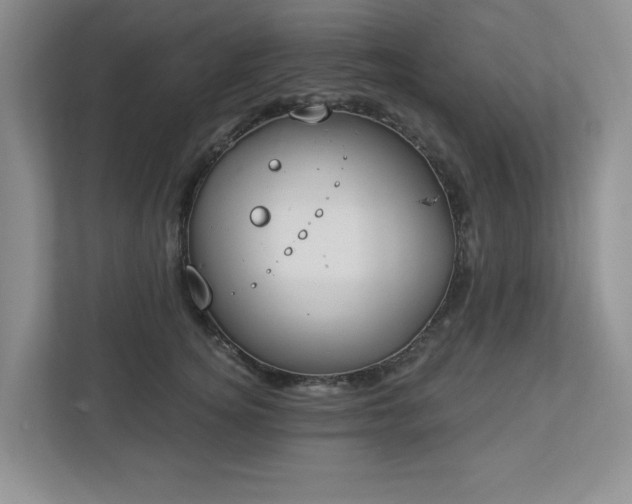 X0000112910756200908241206