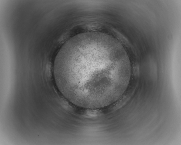 X0000112910757200908241206