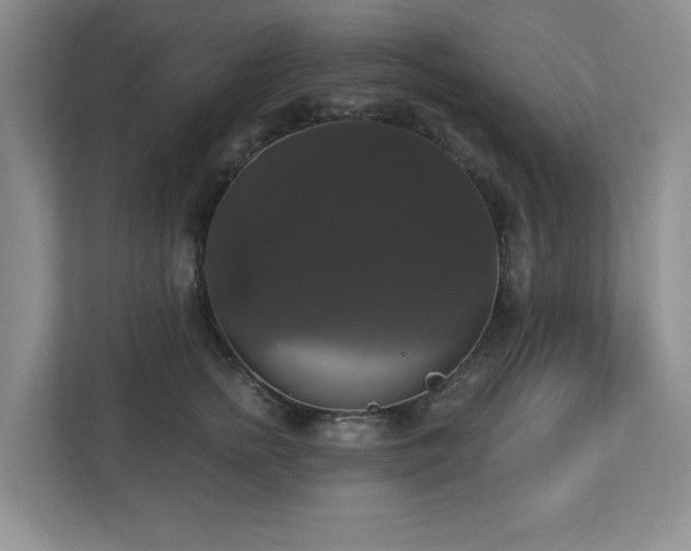 X0000112910758200908241206