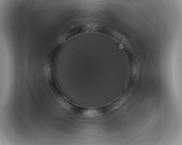 X0000112910759200908241206