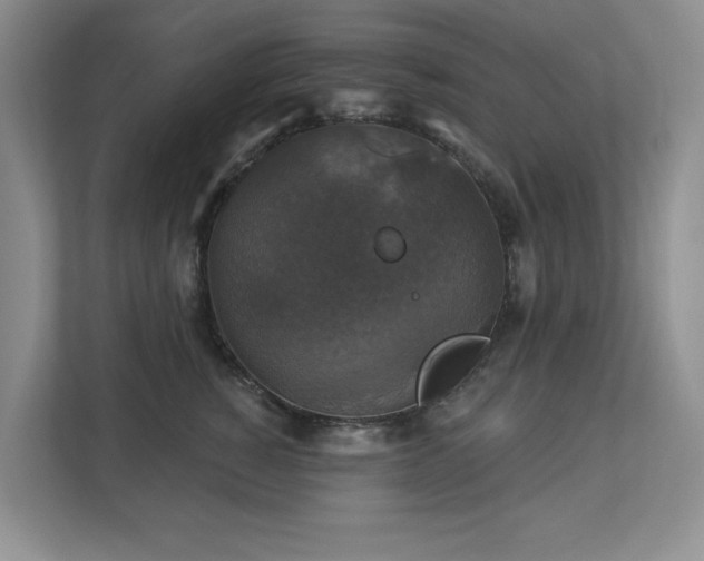 X0000112910760200908241206