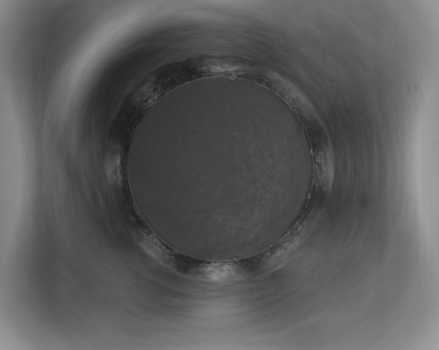 X0000112910762200908241206