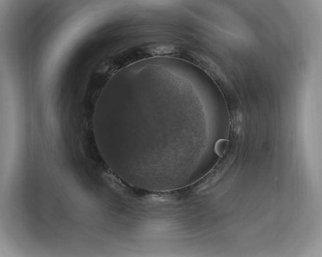 X0000112910763200908241206