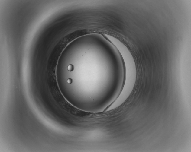 X0000112910764200908241206