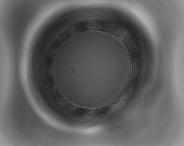 X0000112910765200908241206