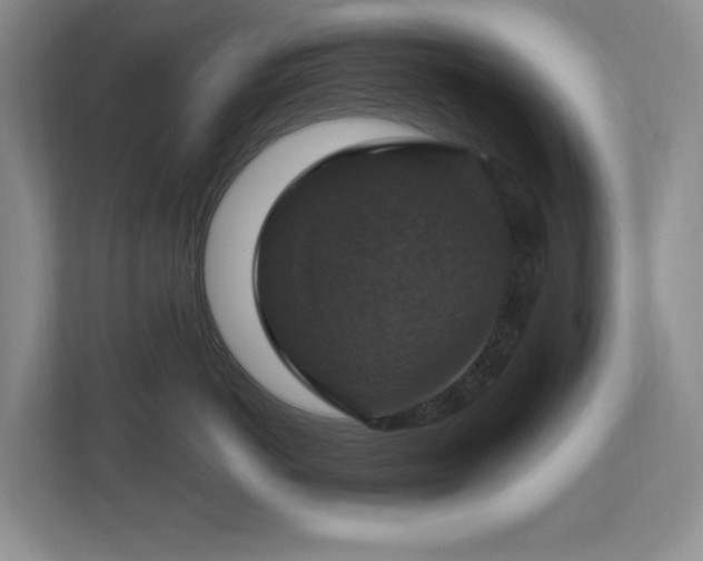 X0000112910766200908241206