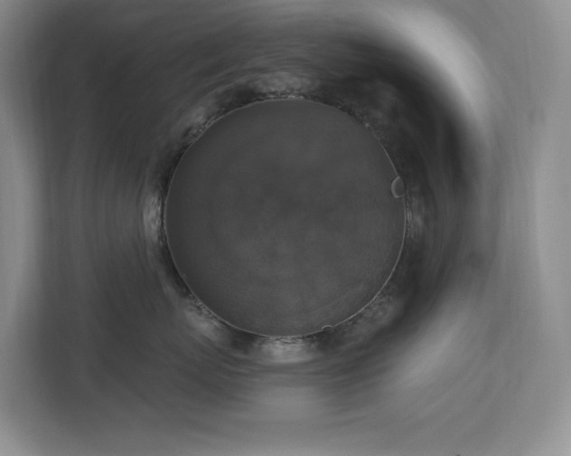 X0000112910767200908241206