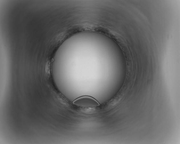 X0000112910768200908241206