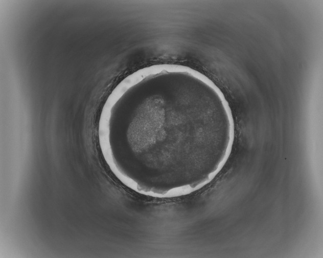 X0000112910769200908241205