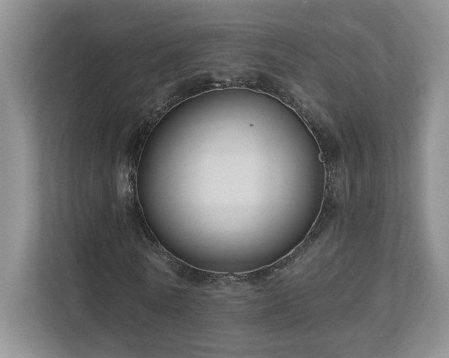 X0000112910770200908241205