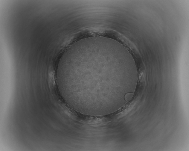 X0000112910772200908241205