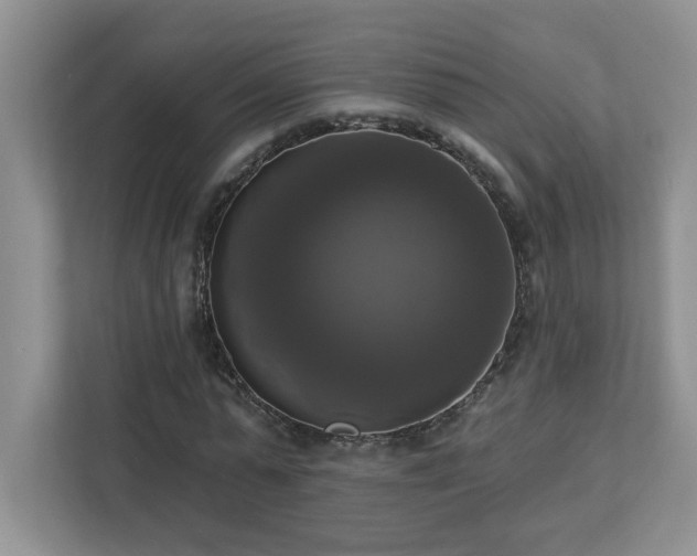 X0000112910775200908241205