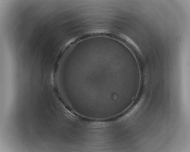 X0000112910777200908241205