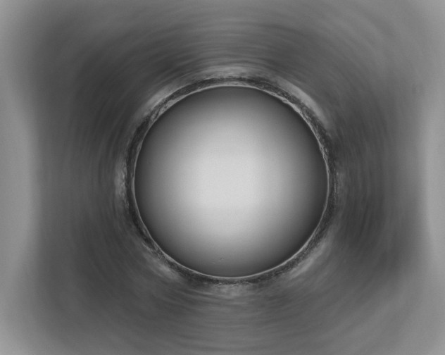 X0000112910778200908241205