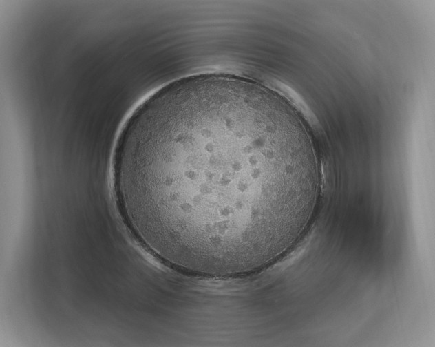 X0000112910780200908241205