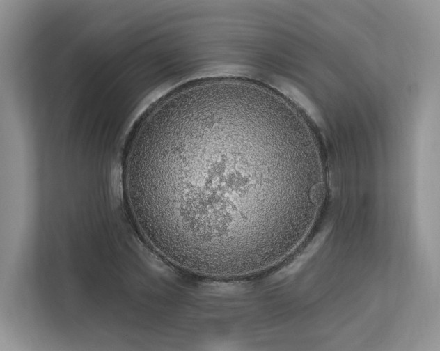 X0000112910781200908241205