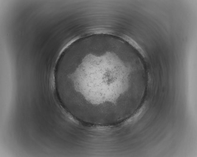 X0000112910782200908241205