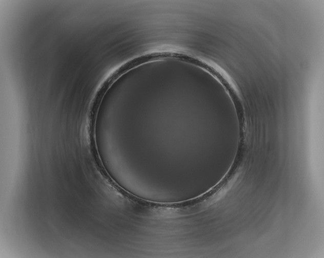 X0000112910783200908241205