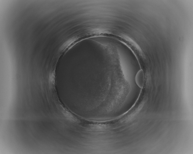 X0000112910785200908241205