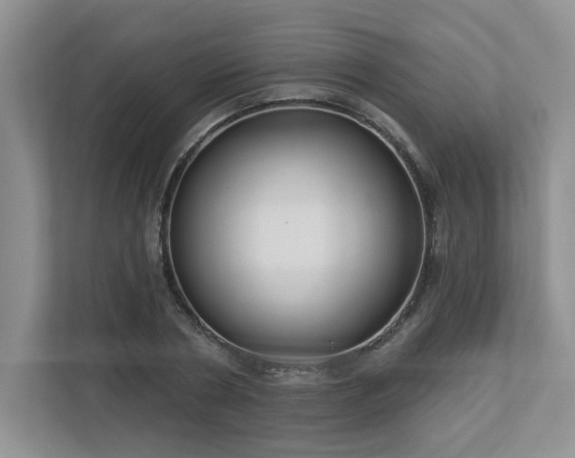 X0000112910786200908241205