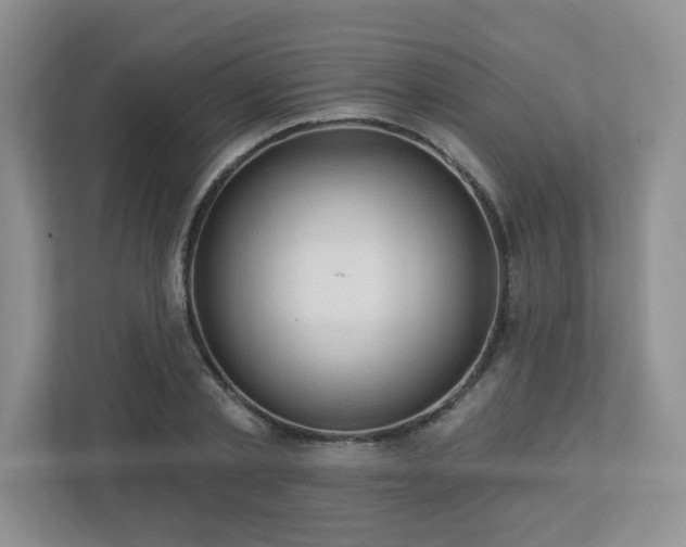 X0000112910789200908241205